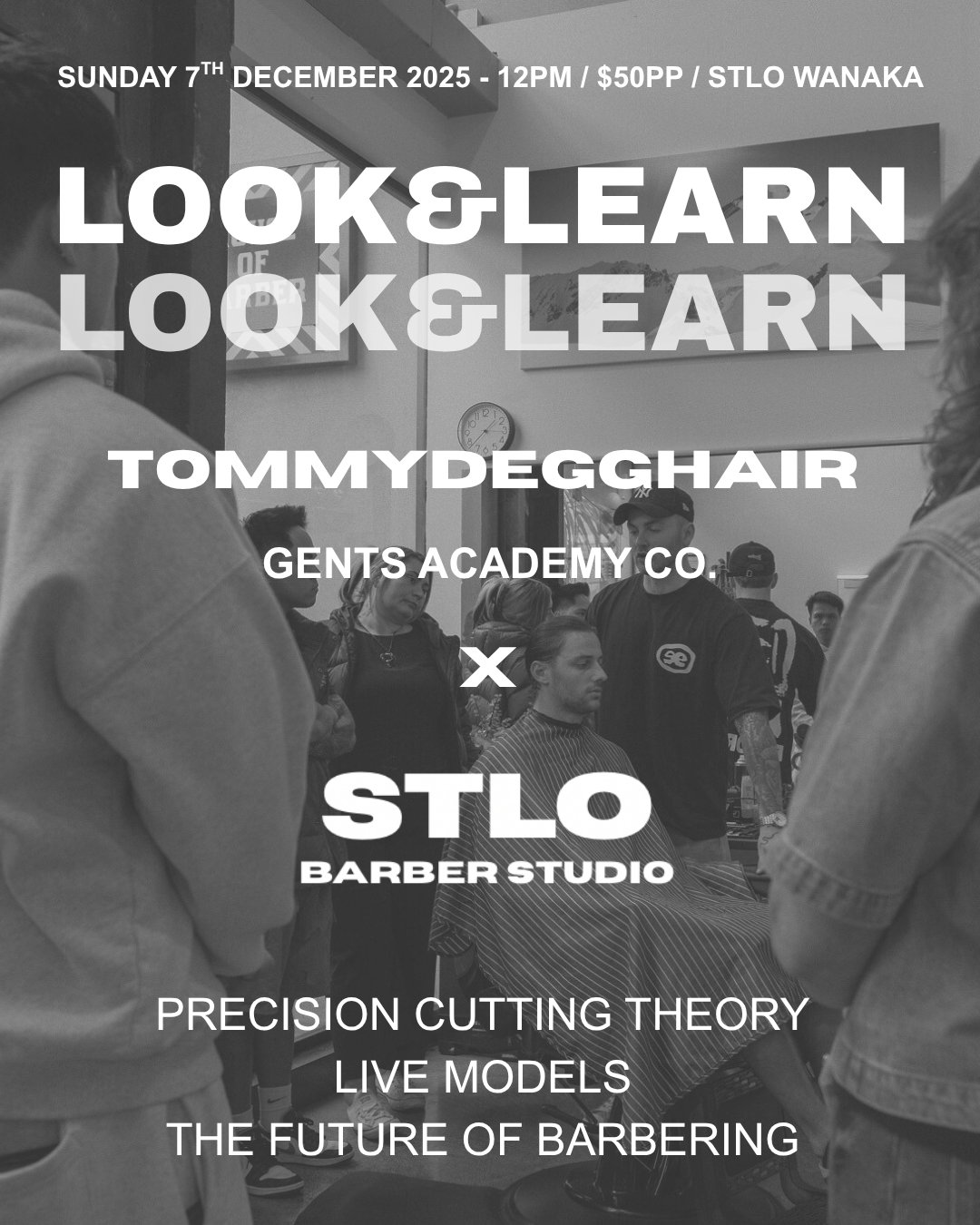 Wanaka 1 Day - Look n Learn