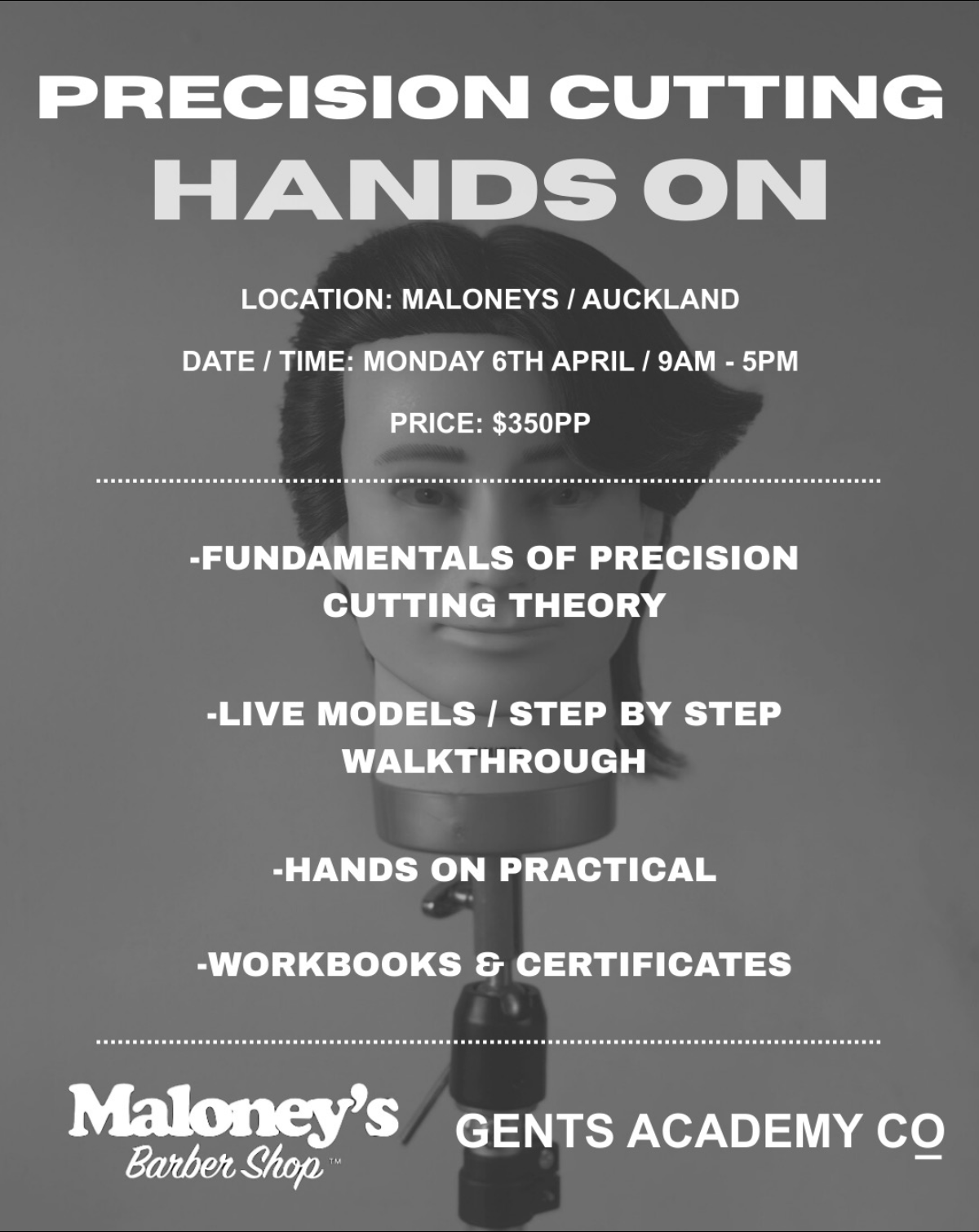 Auckland -  Look and Learn & 2 Day Precision Cutting Class